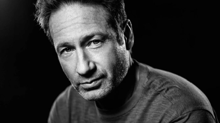 David Duchovny's Massive Net Worth - Find Out All His Financial Details